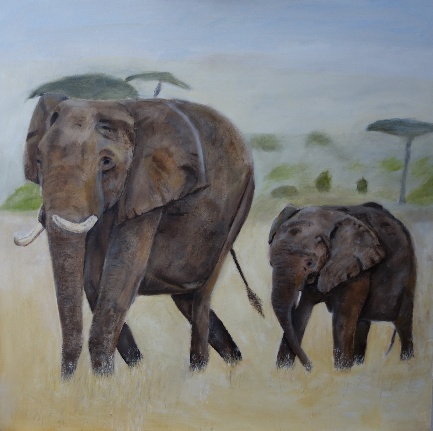 zuid afrikaanse olifant